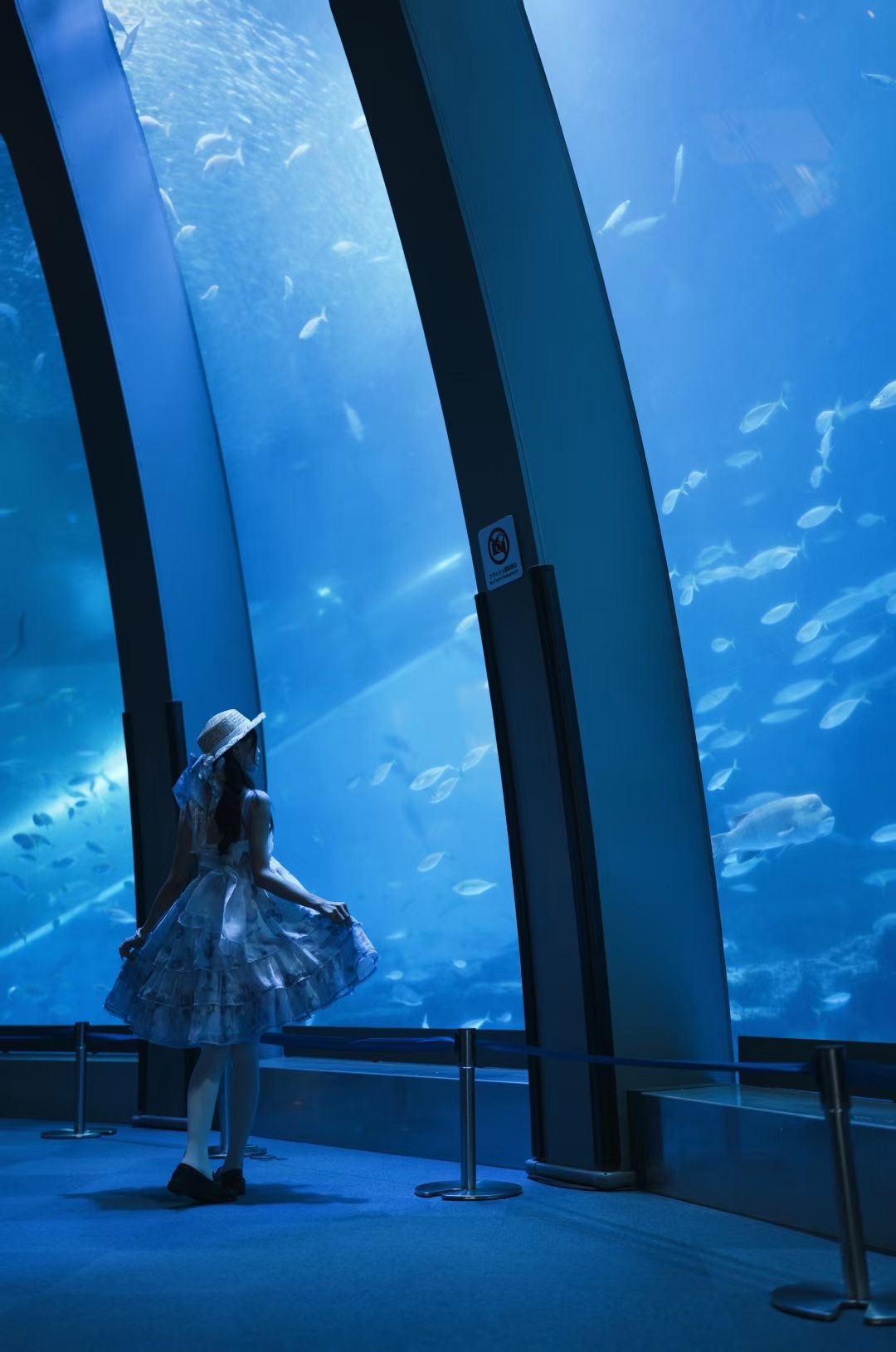 海辺の光の中にいる制服ポートレート